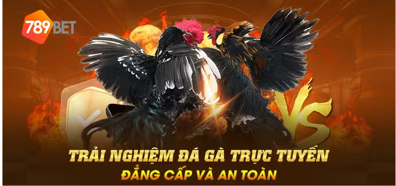 Trải nghiệm đá gà trực tuyến đẳng cấp và an toàn