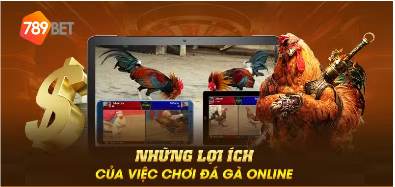 Những lợi ích của việc chơi đá gà online